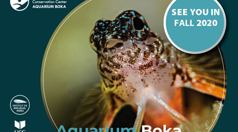 Aquarium Boka opening postponed