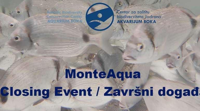 Video of the final event of the MonteAqua project