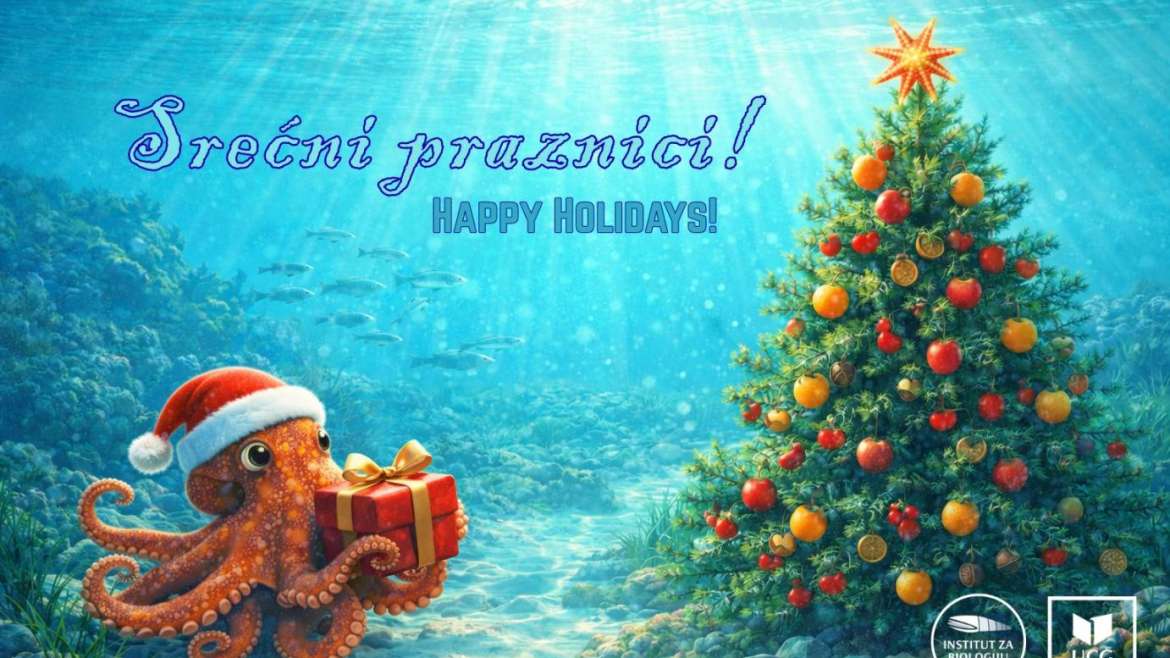 Aquarium Boka Holiday Working Hours